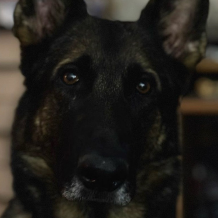 Иконка канала Елена Журавлёва