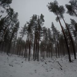 Иконка канала АСП35