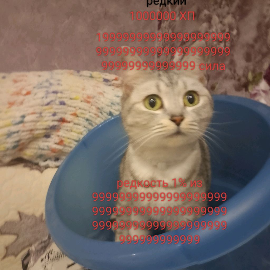 Иконка канала Нефедов Евгений