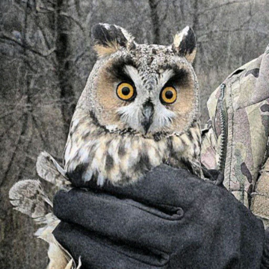 Иконка канала Дно Тv Casino Life