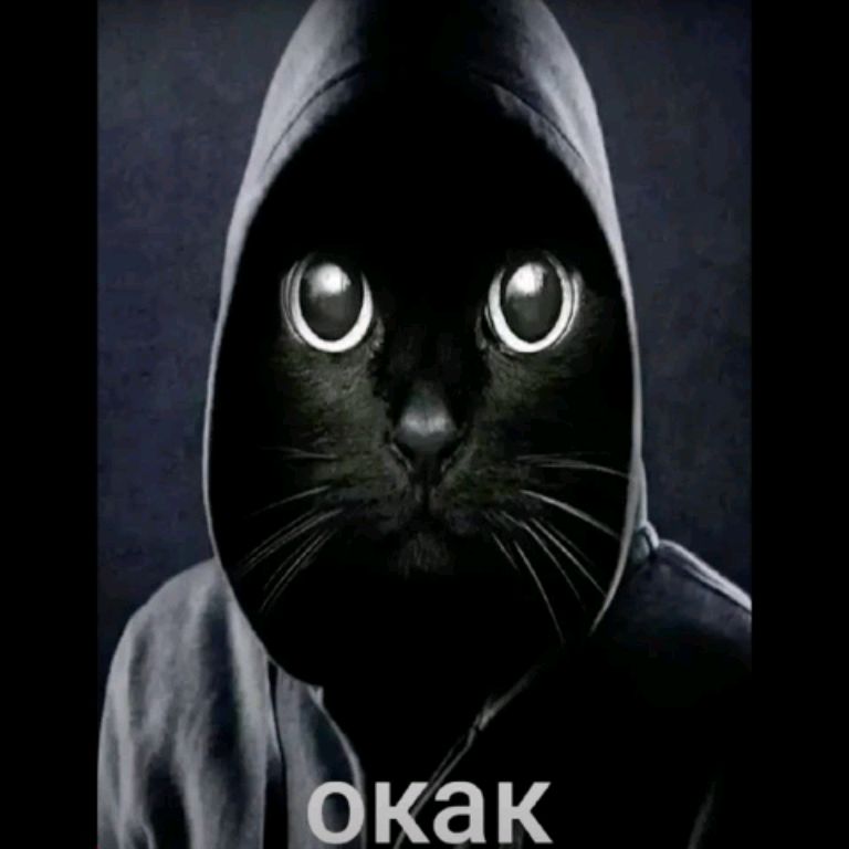 Иконка канала channel48642875