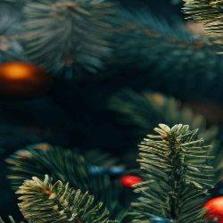 Иконка канала Богдан Цергер 192500