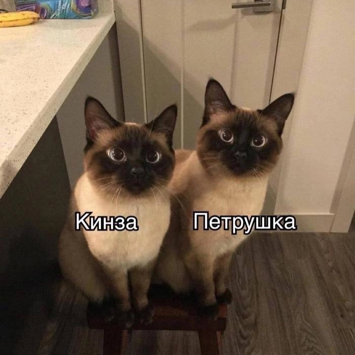 Иконка канала Мемы как мемы