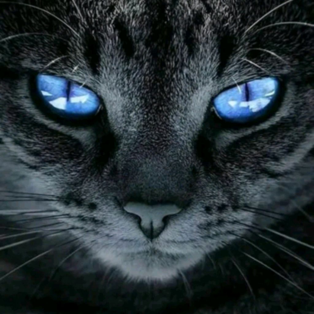 Иконка канала channel73724445