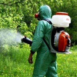 Иконка канала Роман  Александрович Я