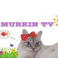 Иконка канала MURKIN TV