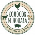 Иконка канала Колосок и Лопата