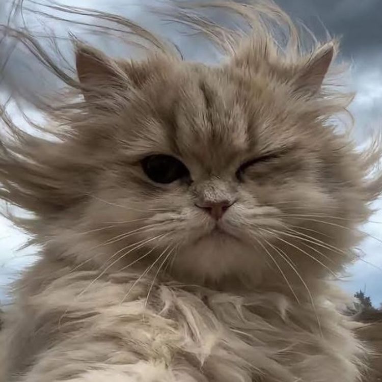 Иконка канала MihailBelov129