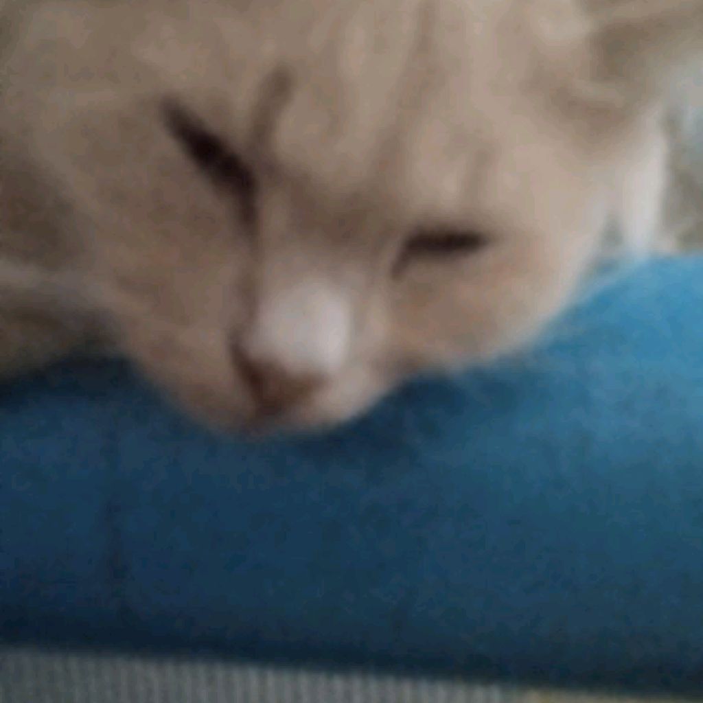 Иконка канала Я Персик