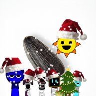 Иконка канала MR семечка