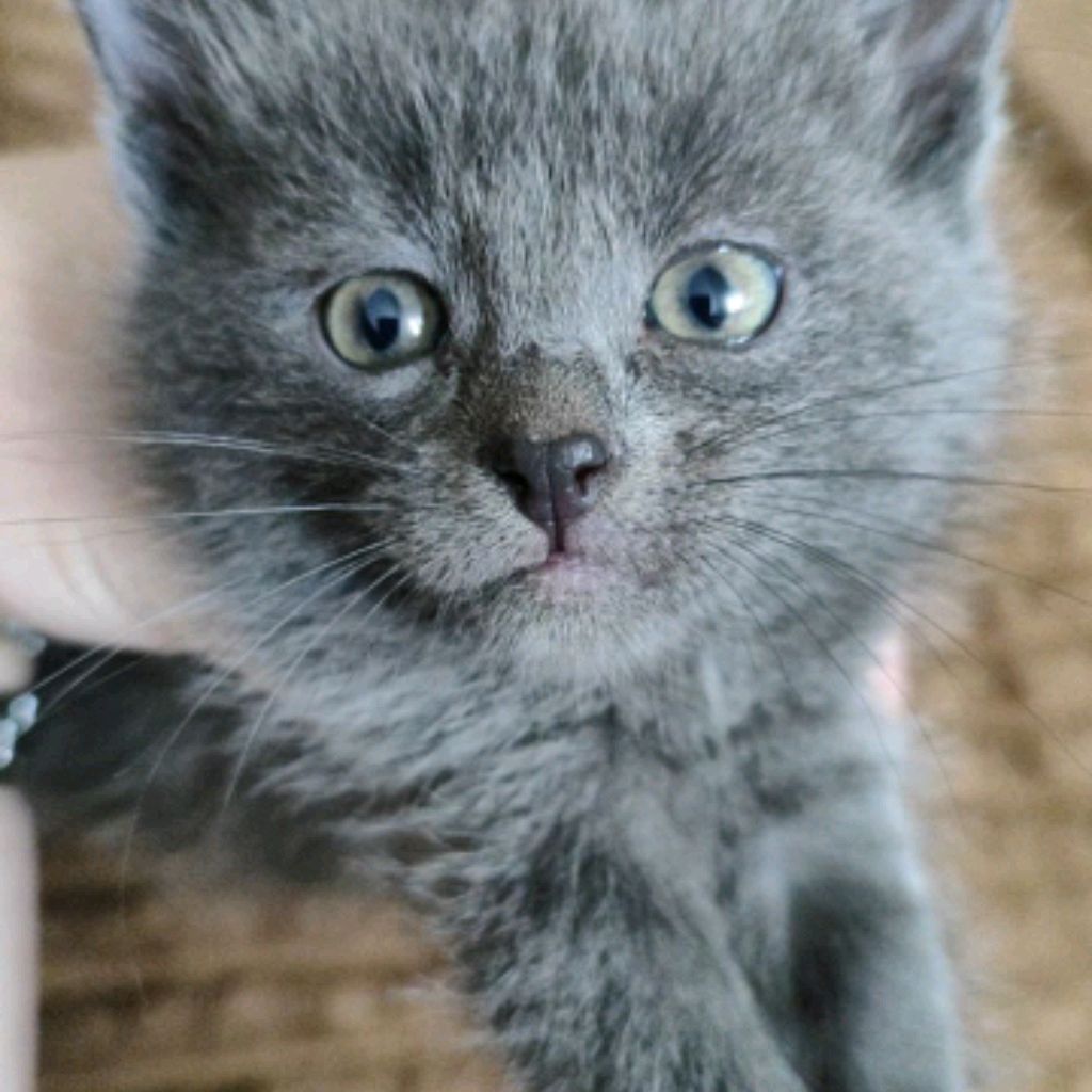 Иконка канала БУСЯ ❤https://t.me/Tarik_Entony