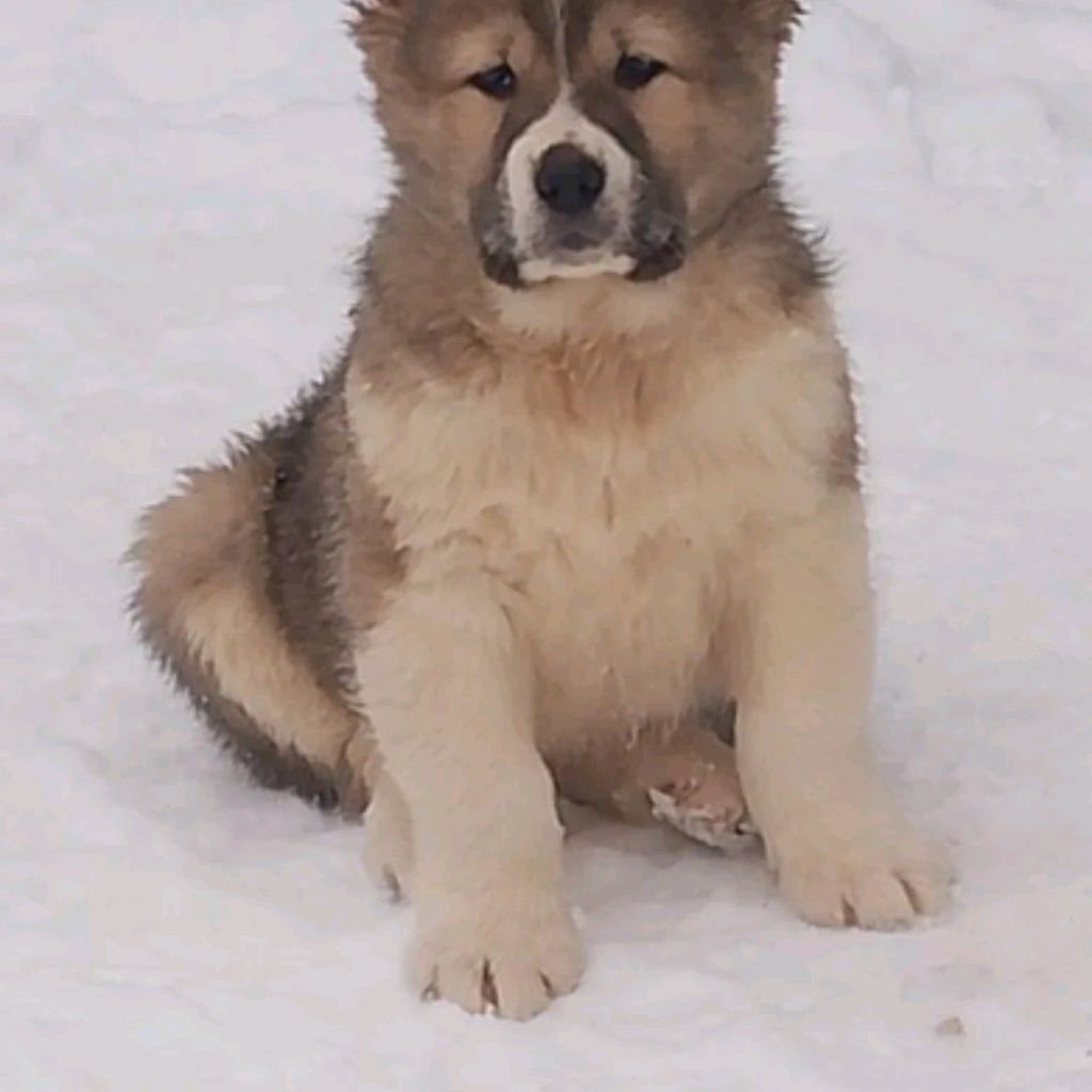 Иконка канала подТесто!