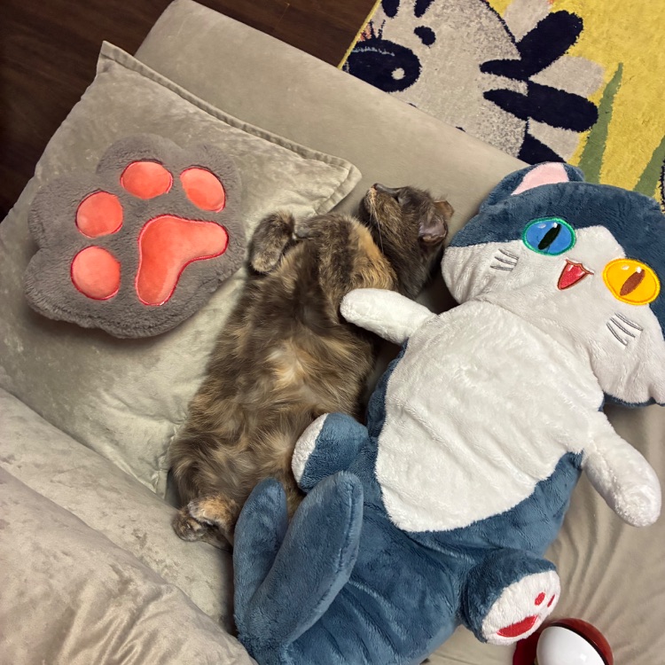 Иконка канала 🎀Русая кудряшка🎀