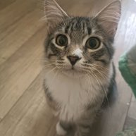 Иконка канала Неп,лохо