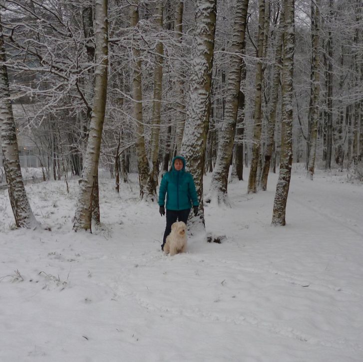 Иконка канала Ena-channel