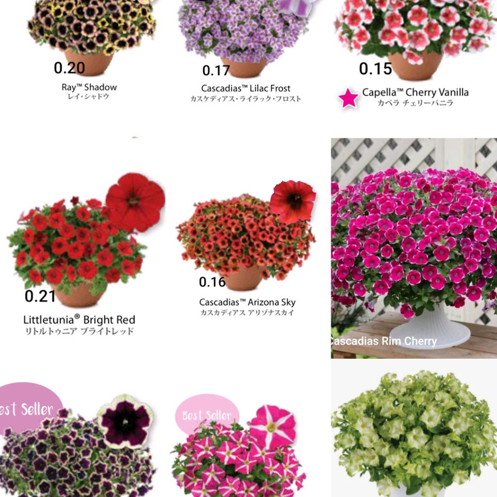 Иконка канала Svetuli