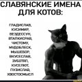 Иконка канала КотоНаркоман🐱