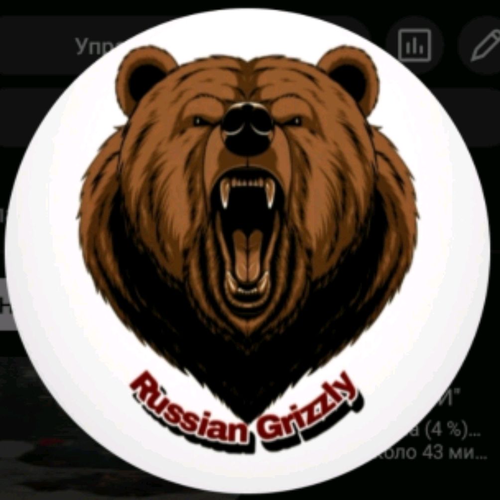 Иконка канала Russian Grizzly