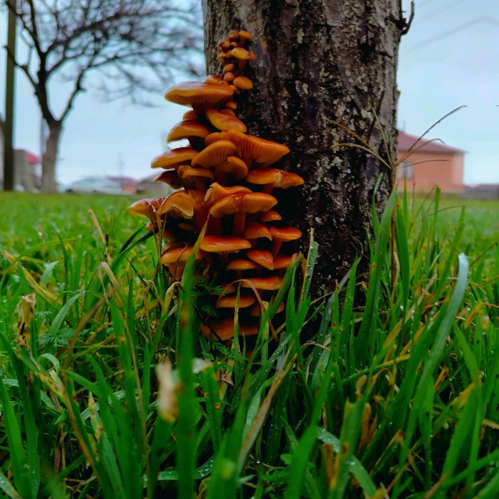 Иконка канала 💋Miss_is 💋