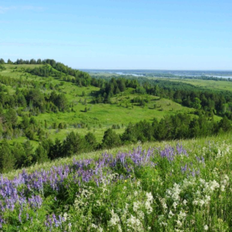 Иконка канала Юнда Первых