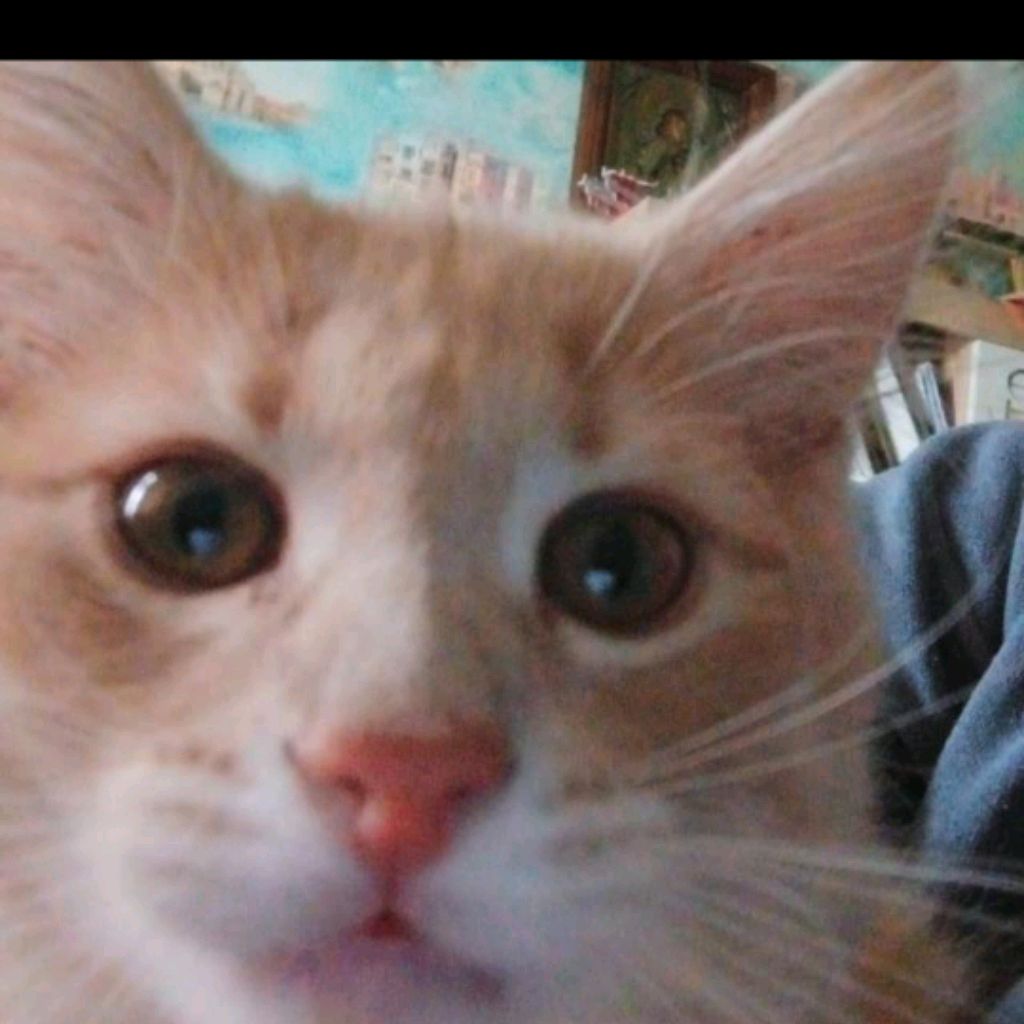 Иконка канала Блэйд Кто