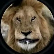 Иконка канала Смерть в нищете