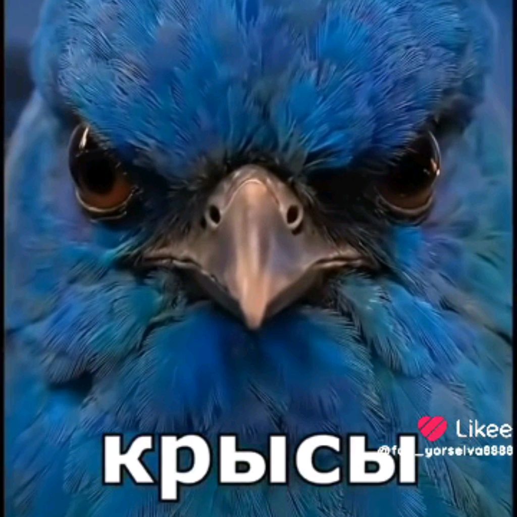 Иконка канала Ноунеймчик