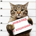 Иконка канала ИНВАЛИД С КОШКАМИ