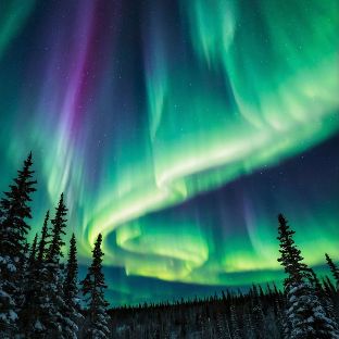 Иконка канала channel73678594