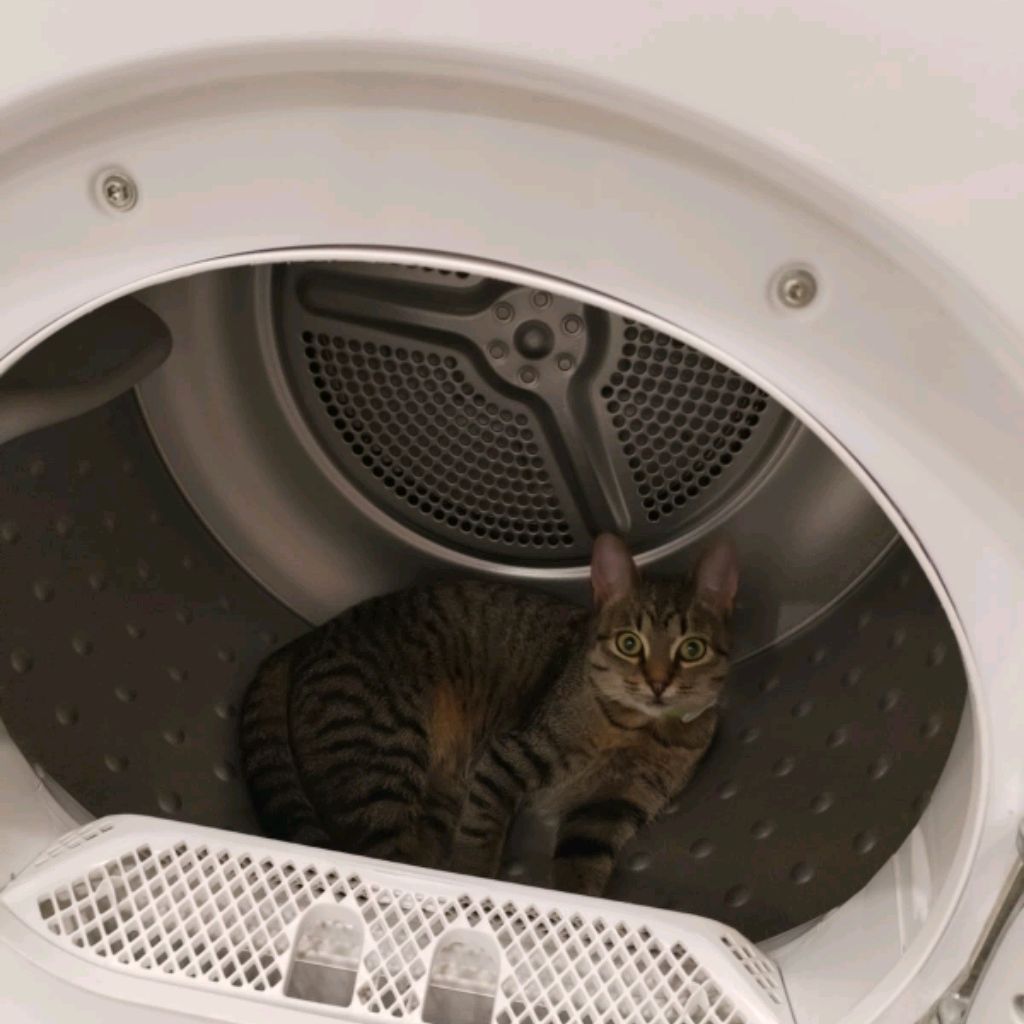 Иконка канала Татьяна 😜