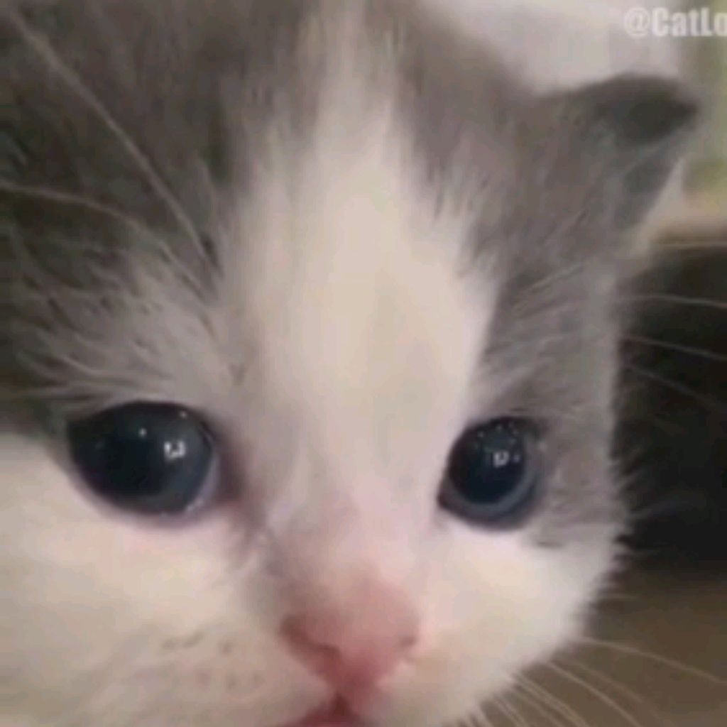 Иконка канала Макс Car Simulator 2