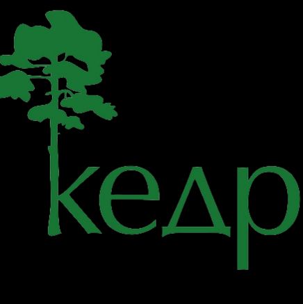 Иконка канала Кедр.shop - Производственная компания