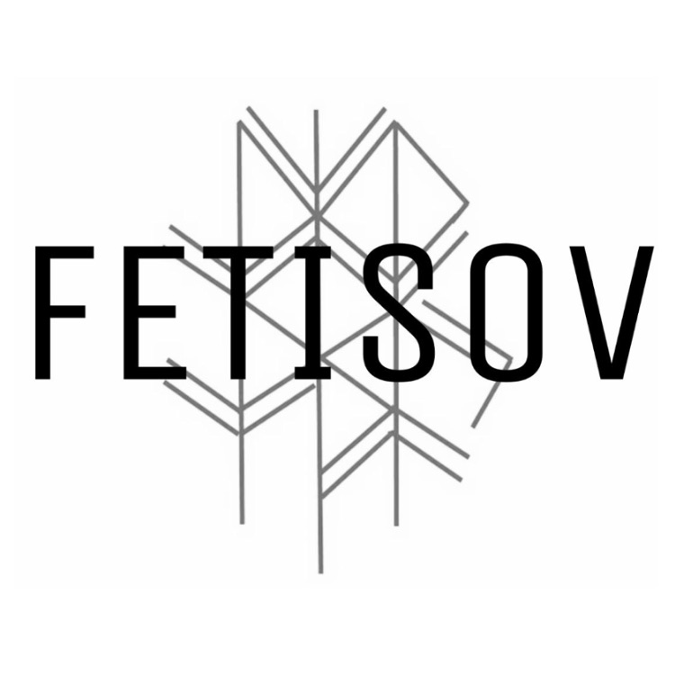 Иконка канала Fetisov_top