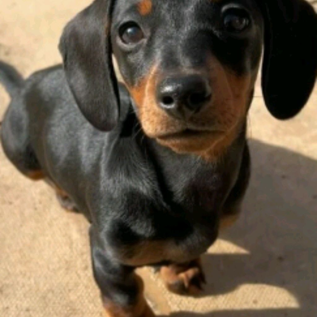 Иконка канала channel71228803