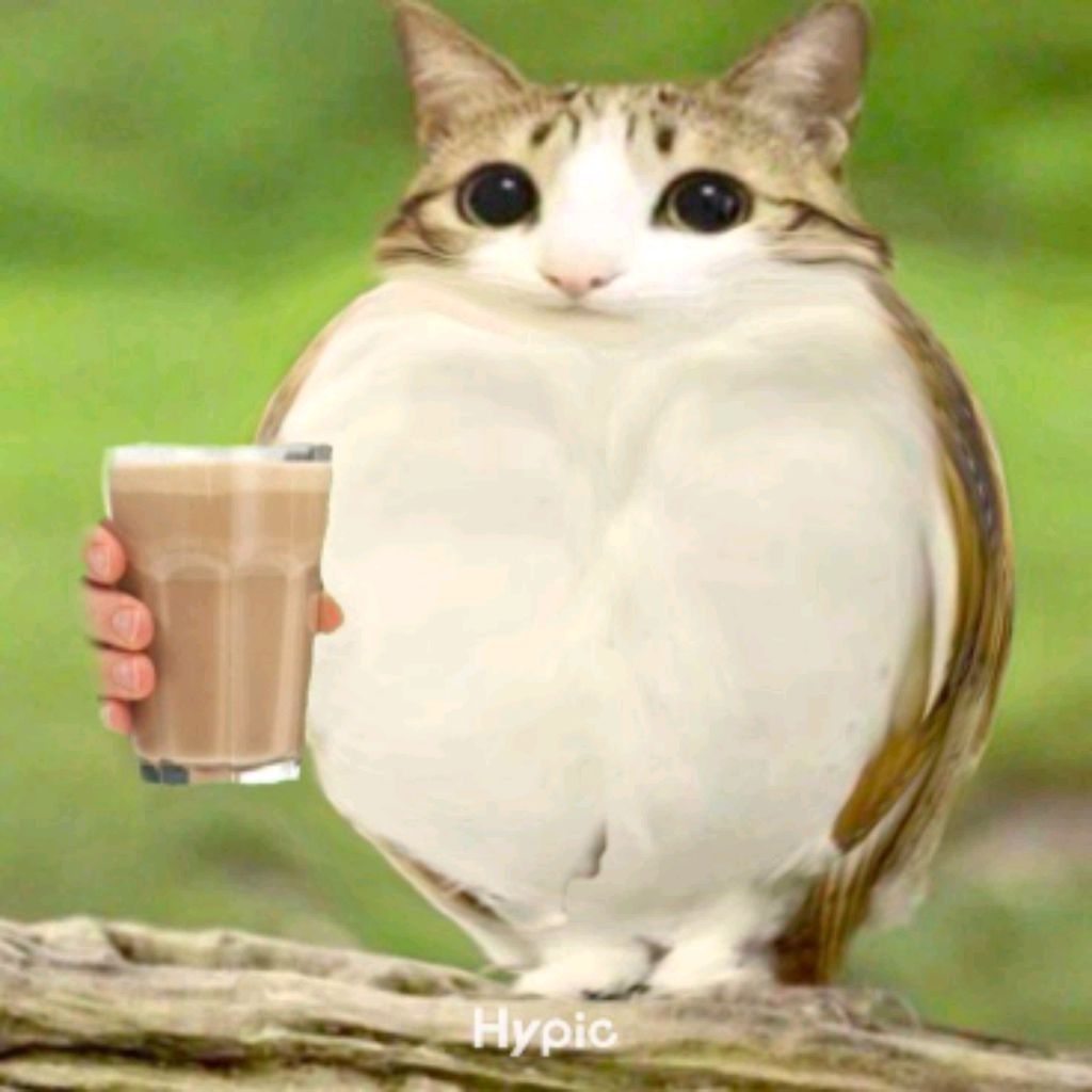 Иконка канала channel73836245