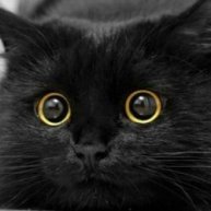 Иконка канала Marki'Z