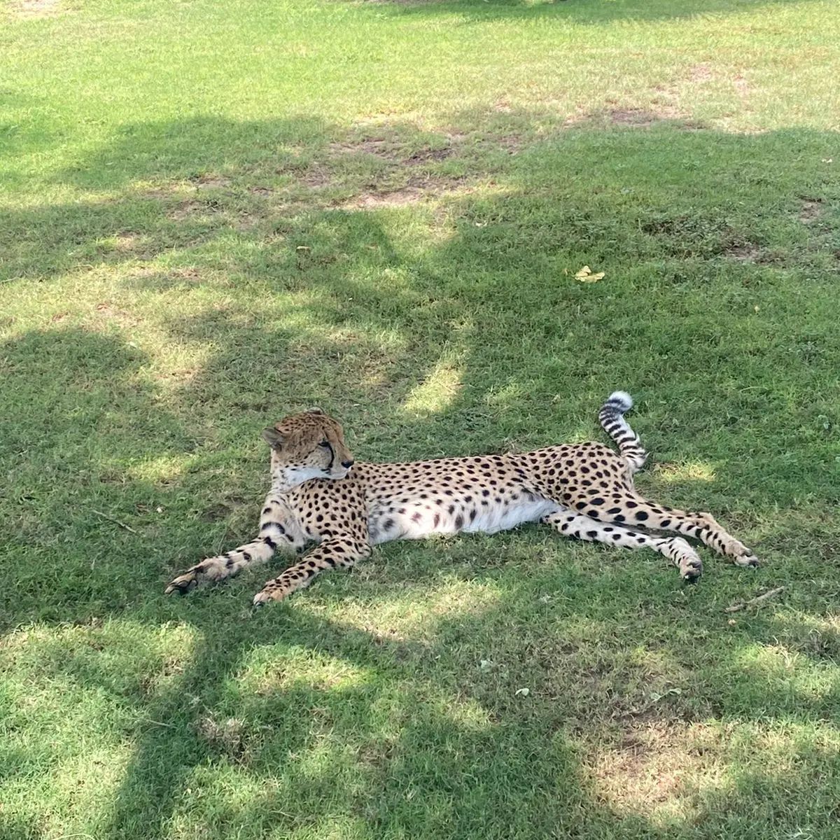 Иконка канала Мир на ладони