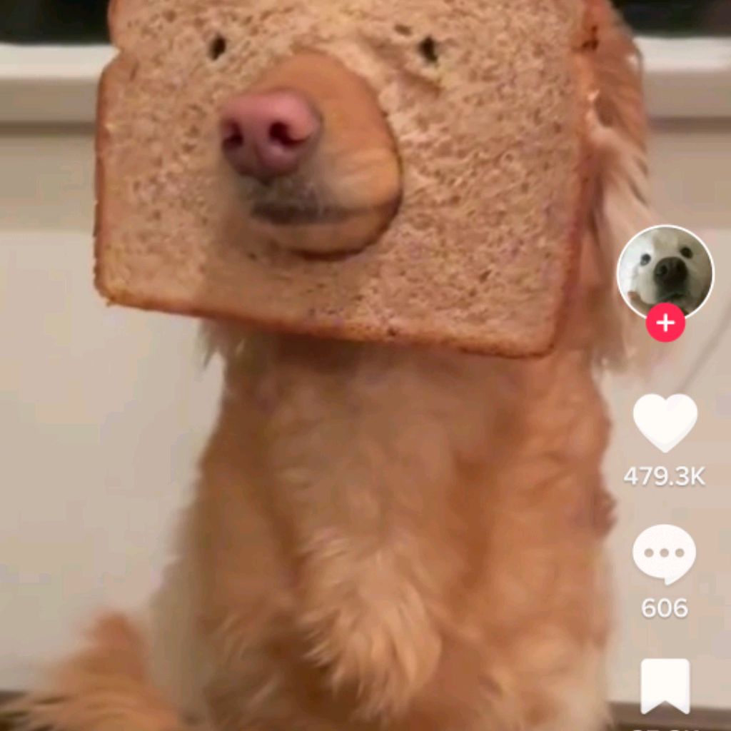 Иконка канала STEPAN NA SAMOKATE