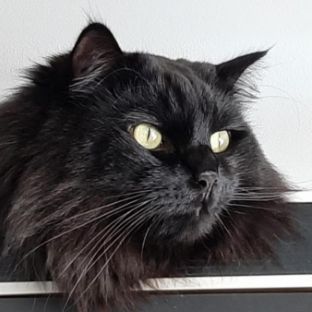 Иконка канала FAMINOR