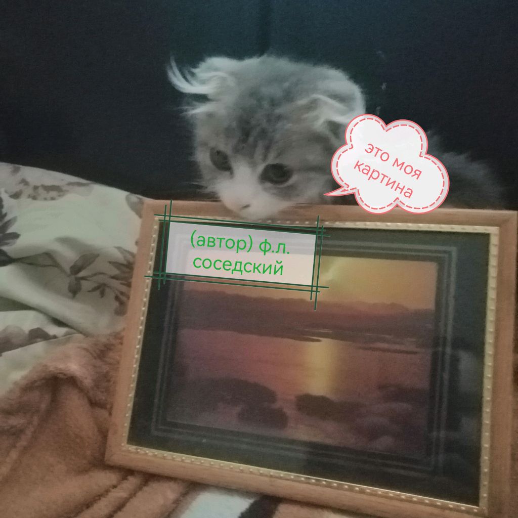 Иконка канала Sortg 45000 Voyron💠▶️🐦💮