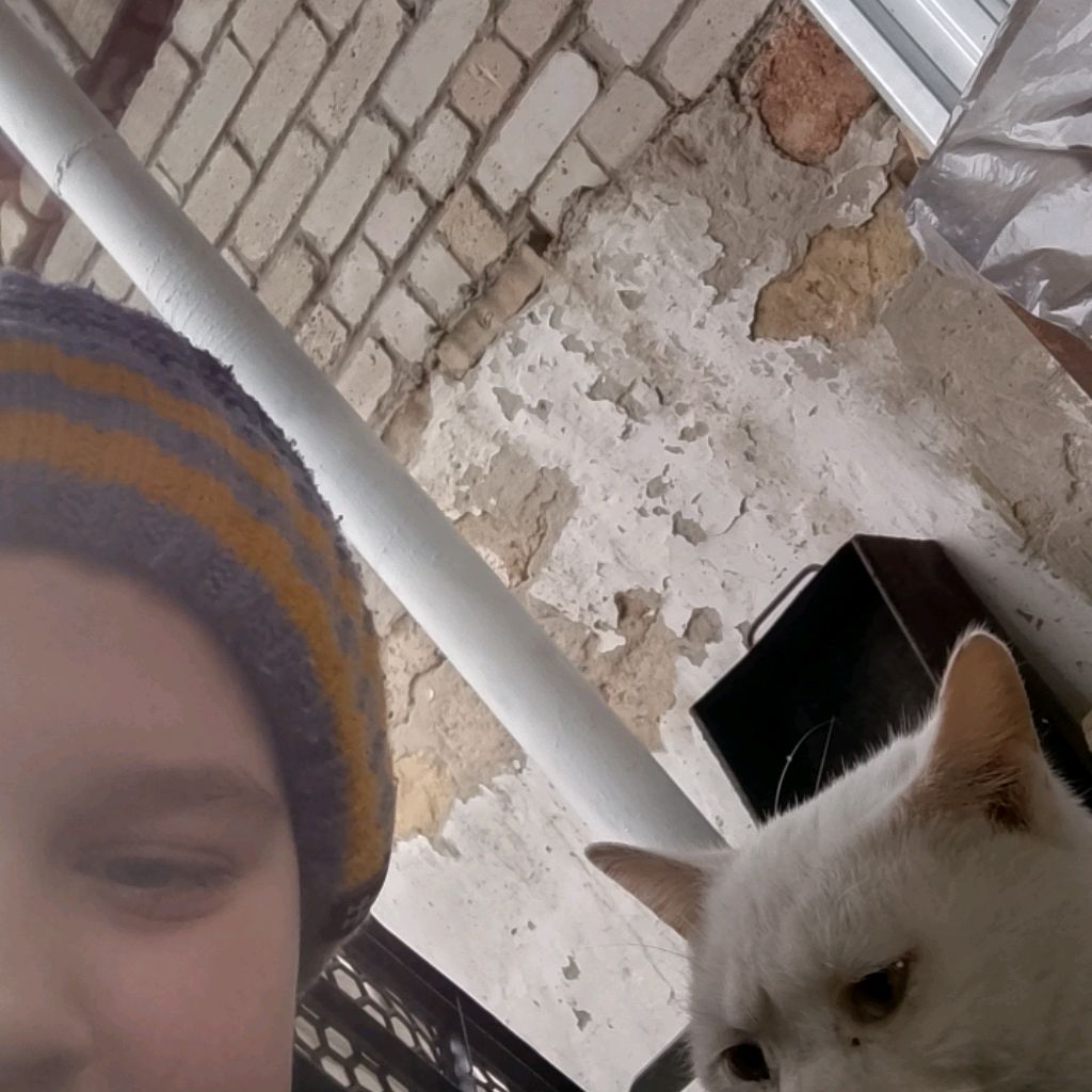 Иконка канала Выживание