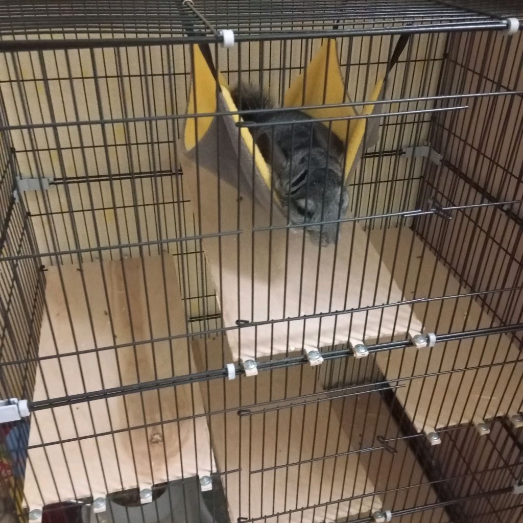 Иконка канала Шиша❤