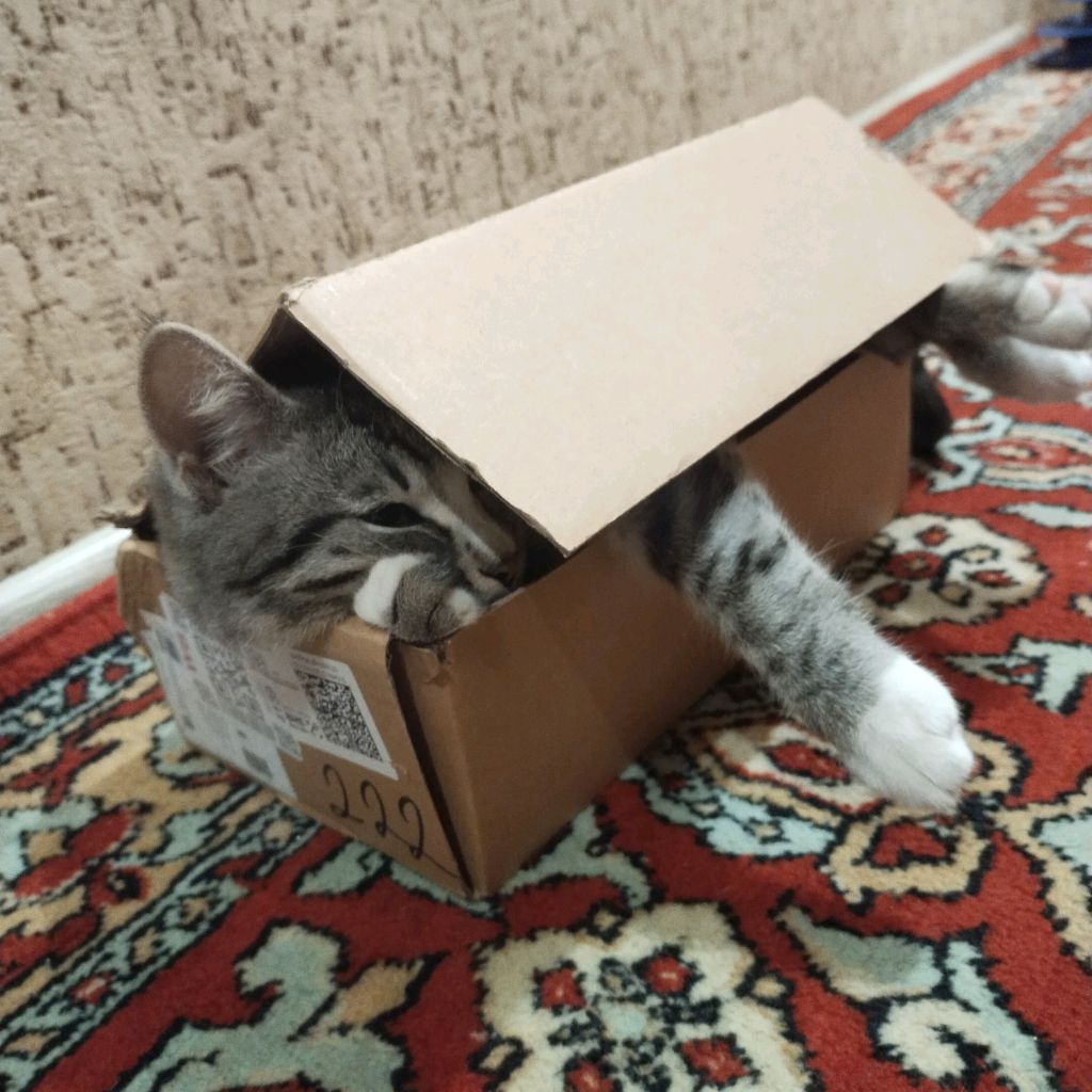 Иконка канала Заходи Погладь Кота!!!