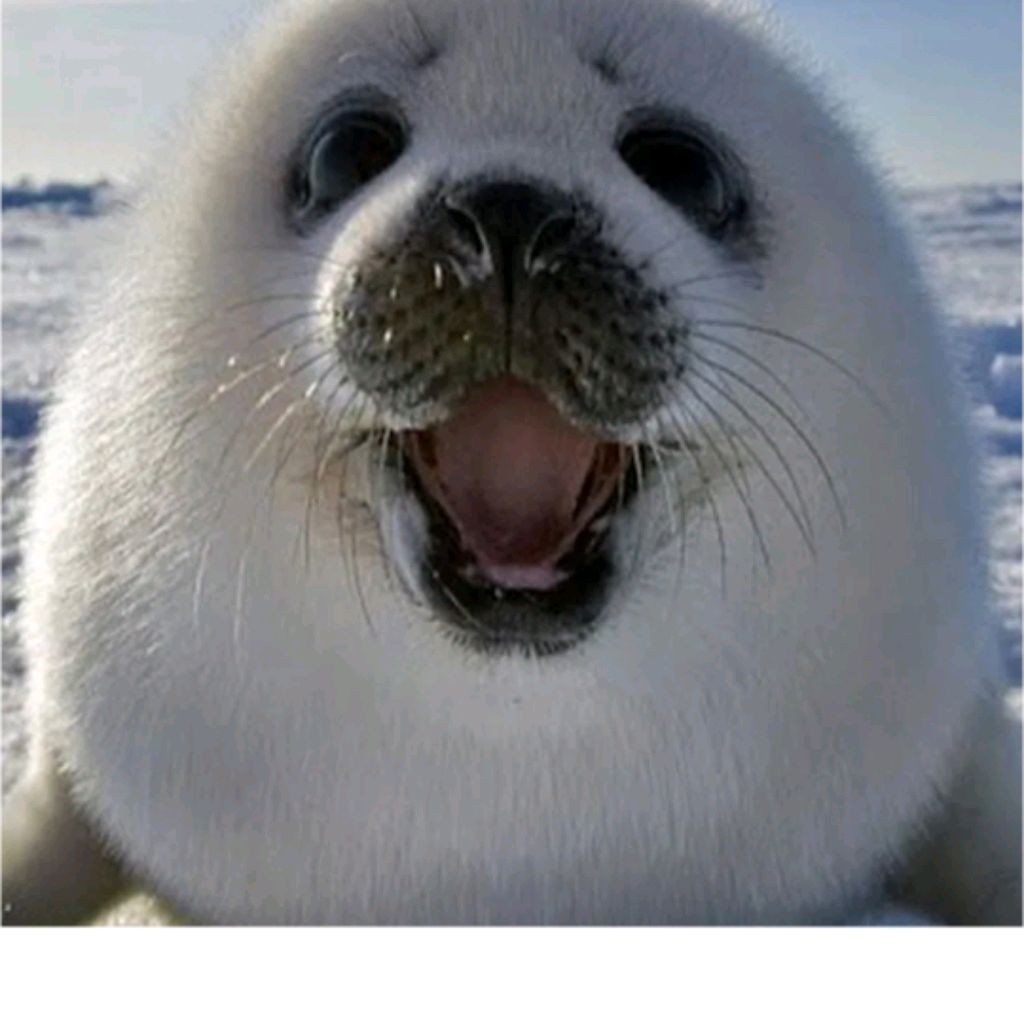 Иконка канала Белёк