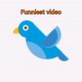 Иконка канала Funniest Video!🤣🤣🤣