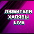 Иконка канала ЛЮБИТЕЛИ ХАЛЯВЫ LIVE