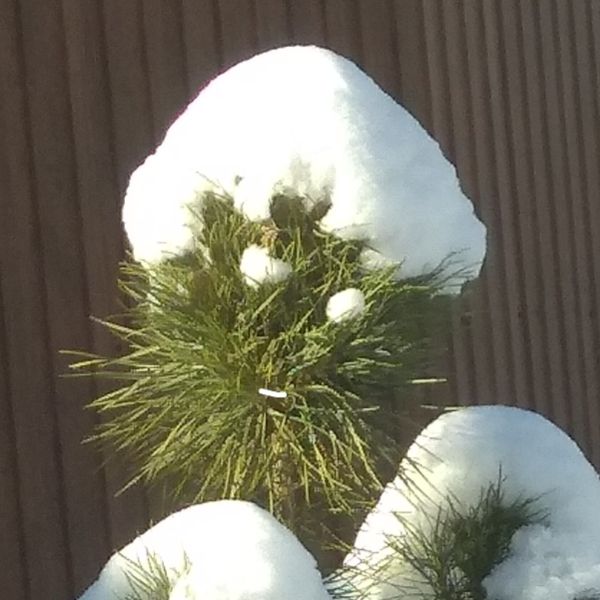 Иконка канала Galla Fedorova