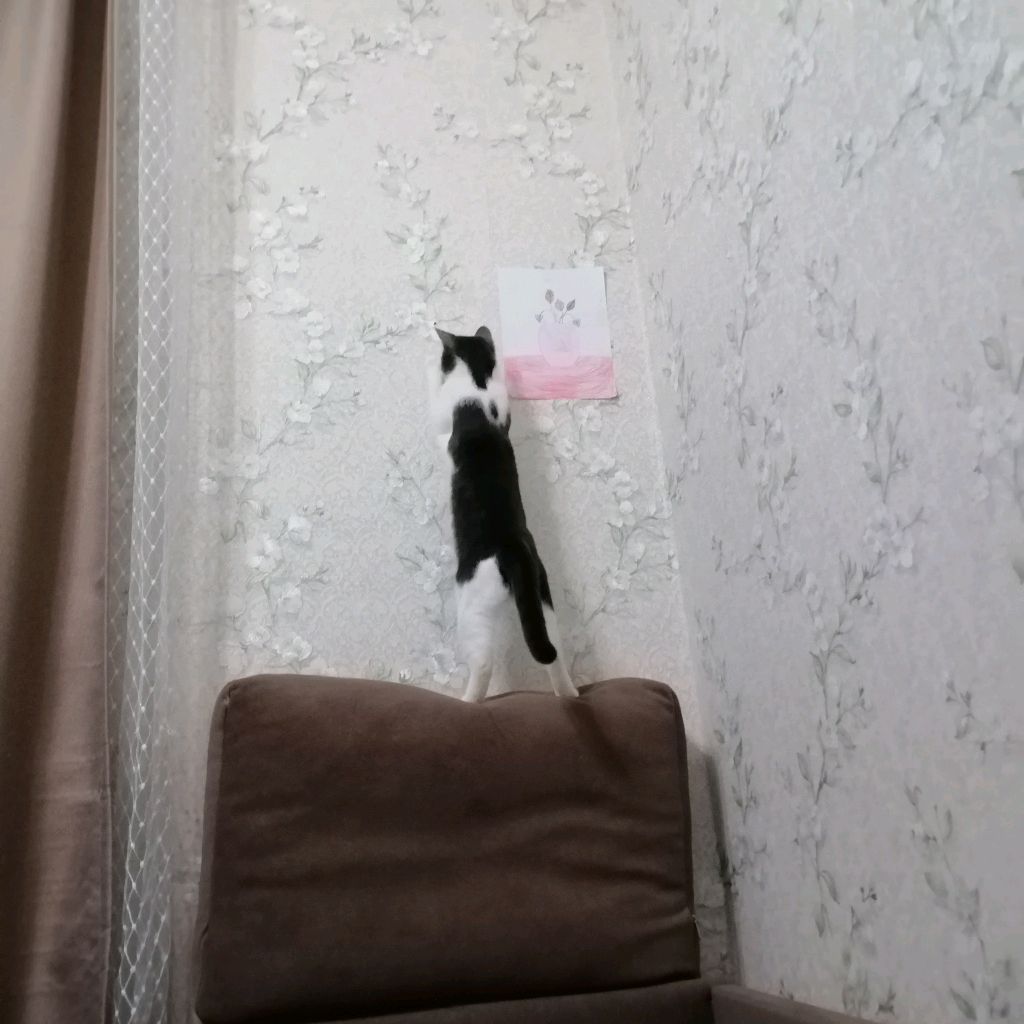 Иконка канала Дымка💝