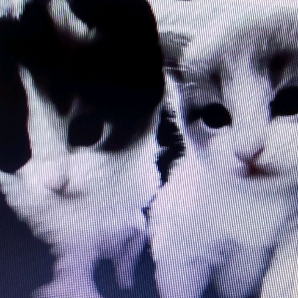 Иконка канала channel57391249