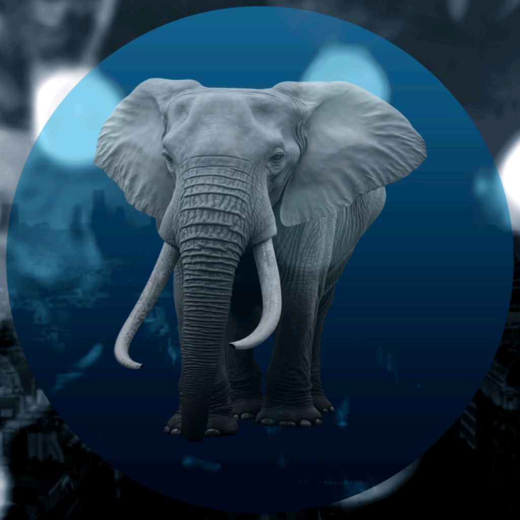 Иконка канала G.Star Records